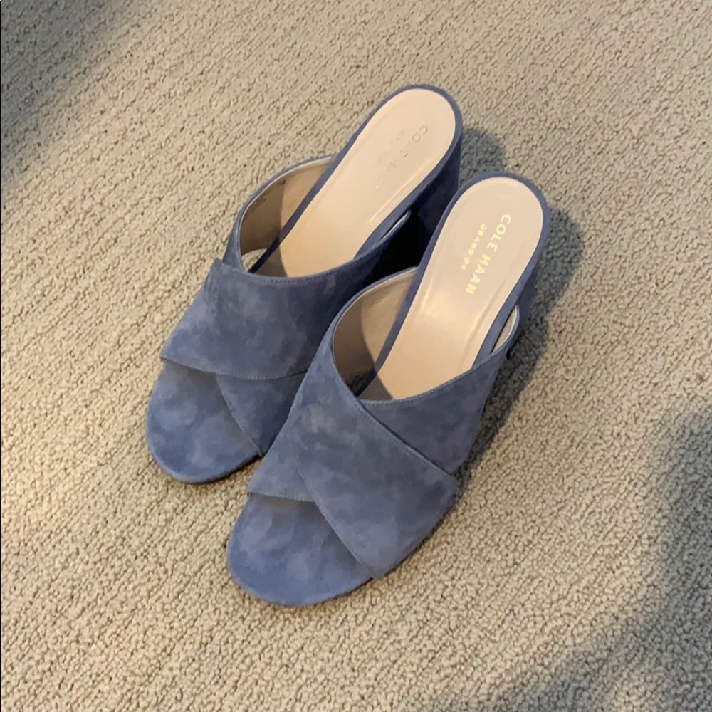 Beautiful blue suede block sandals never worn!